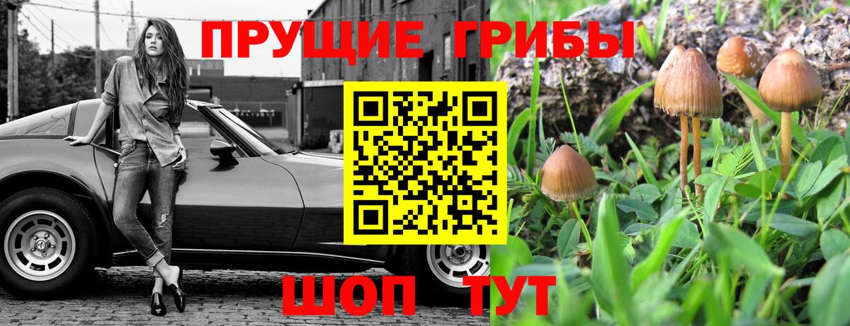 Псилоцибиновые грибы Psilocybe  Вход с VPN  Магнитогорск 
