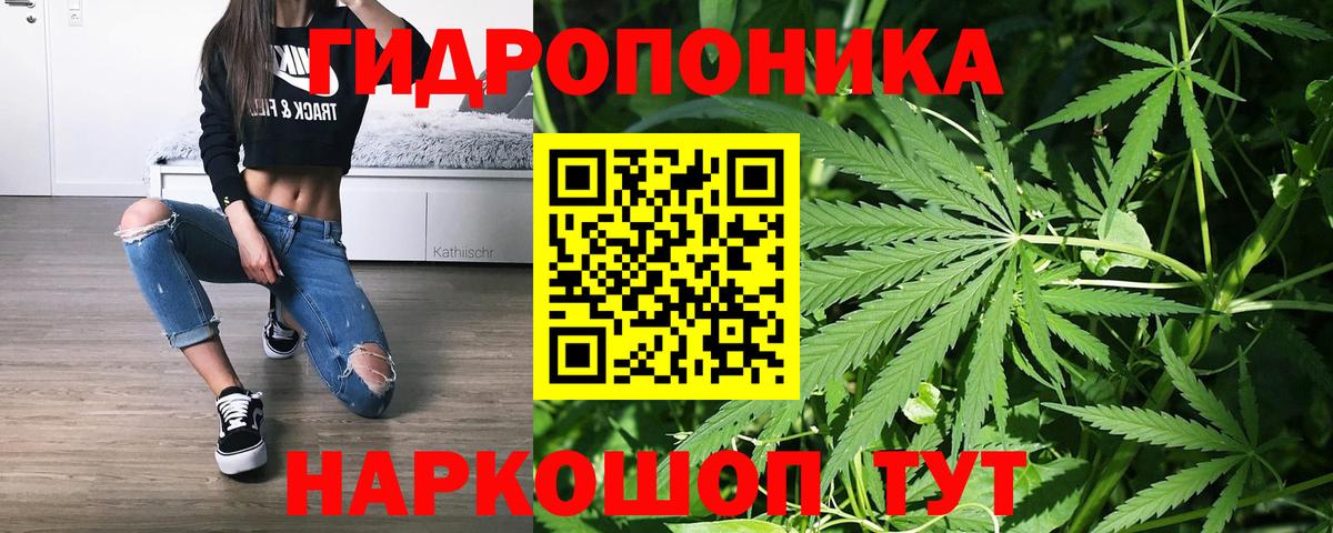 Магнитогорск  Каннабис Ganja  Конопля конопля  Бошки марихуана марихуана  Вход с VPN 